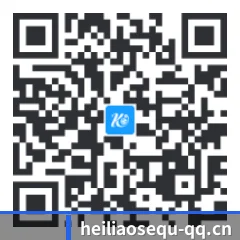 Android 饭圈版 二维码